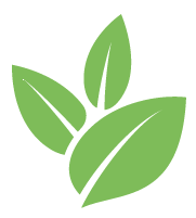 Plant Pruning