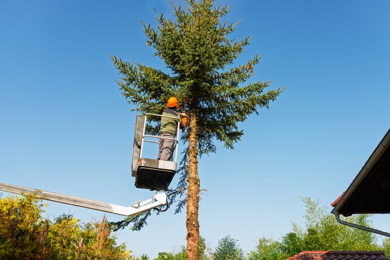 Commercial Tree Trimming in Littleton, CO