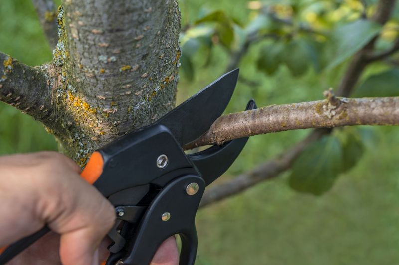 Plant Pruning