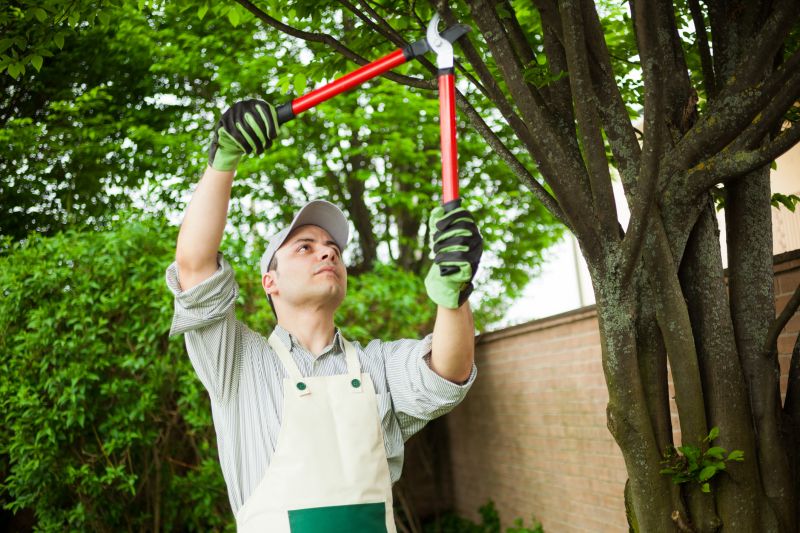 Experienced Arborist