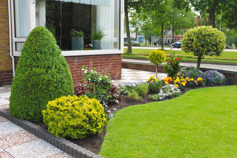 Optimal Plant Size and Shape